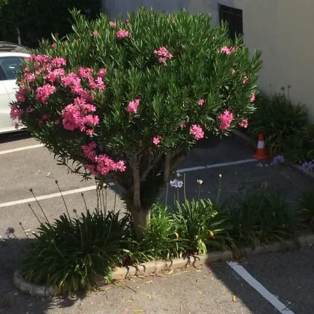 Apartamento Eden - 300m De La Mer , Parking Privatif Inclus