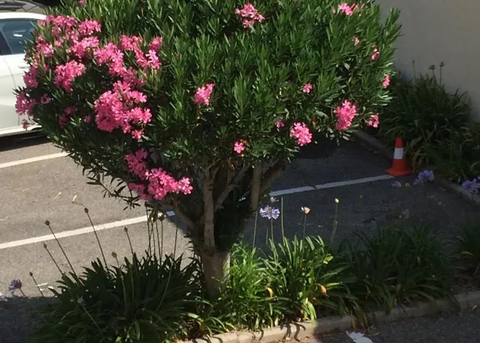 Apartment Eden - 300m De La Mer , Parking Privatif Inclus