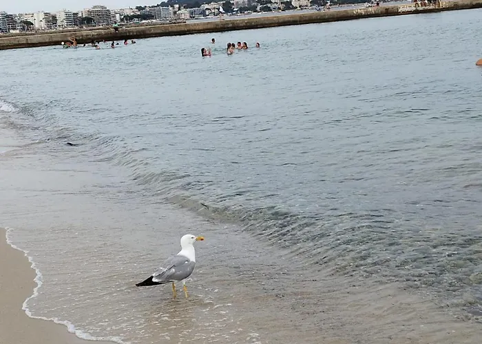 Eden - 300m De La Mer , Parking Privatif Inclus Apartment *