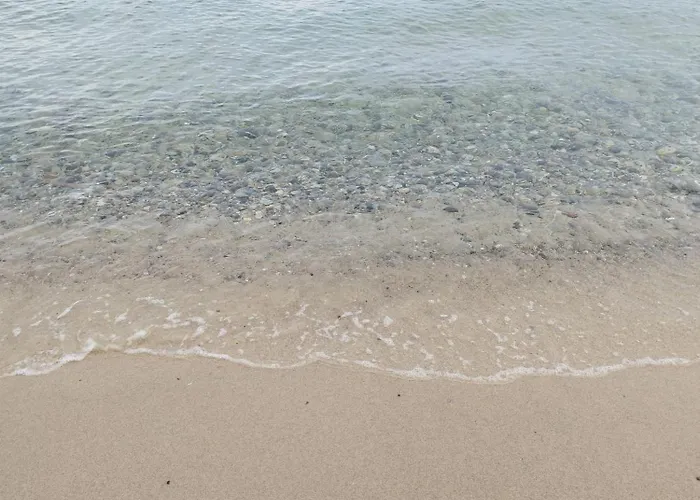 Eden - 300m De La Mer , Parking Privatif Inclus *